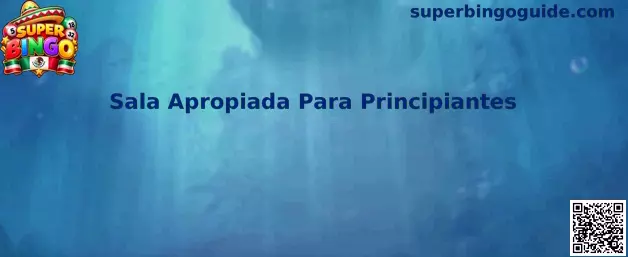 Interfaz ilustrativa de una sala de Super Bingo apropiada para principiantes