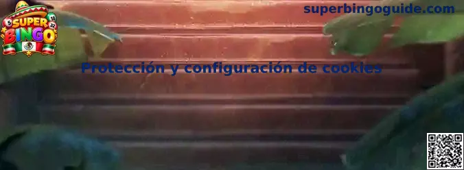 Protección y configuración de cookies de Super Bingo