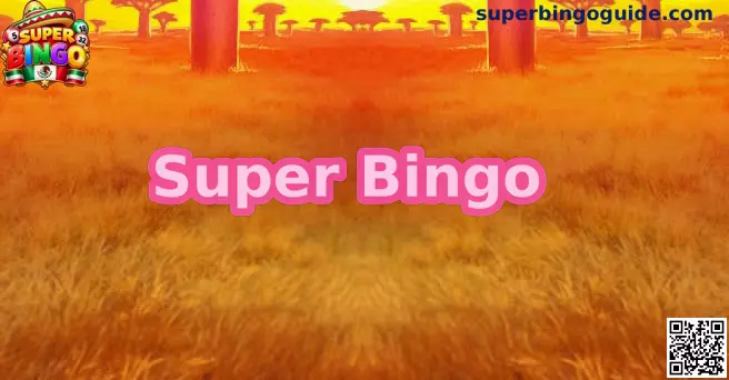 Guía informativa de Super Bingo para usuarios de México